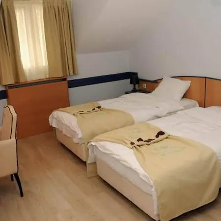 托姆斯索卡酒店 酒店 斯科普里