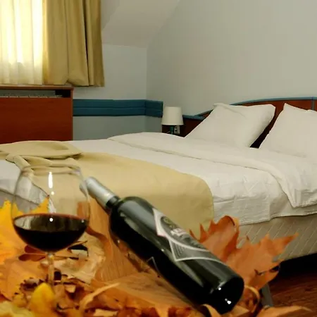 托姆斯索卡酒店 斯科普里