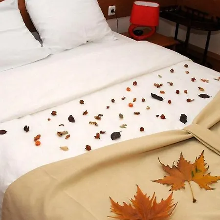 Tomce Sofka Hotel