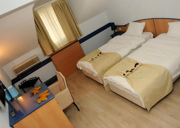 Hotel Tomce Sofka Skopje